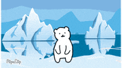 Wink Bear GIF