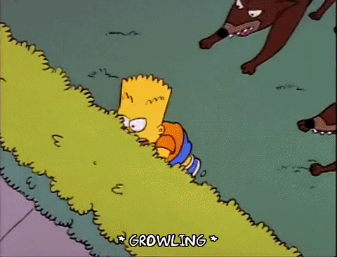 Season 2 GIF by The Simpsons