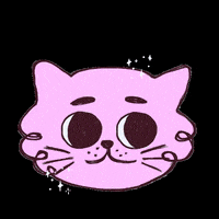 marii_nuriulu cat pink gato lindo GIF