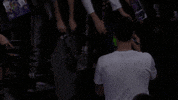 dario saric minnesota GIF by NBA