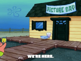 season 5 episode 13 GIF by SpongeBob SquarePants