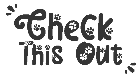 Text Check This Out Sticker by Barkk