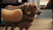 GIF by Heinz Ketchup