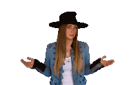 alliwalker singer hat question country music Sticker
