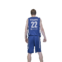 Bensheim Sticker by VfL Basketball