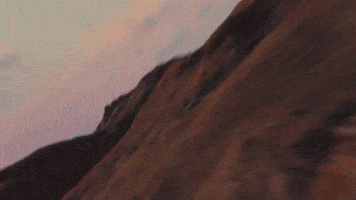 Flowers Fisheye GIF by Zedd