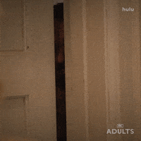 Nick Kroll Hulu GIF by Adults