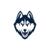 March Madness Basketball Sticker by UConn Huskies