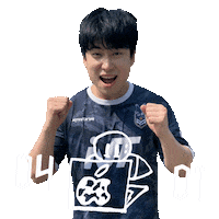 Football Sport Sticker