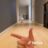 Chat Bonjour GIF by TikTok France
