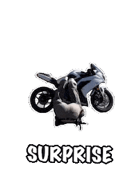 Dance Surprise Sticker