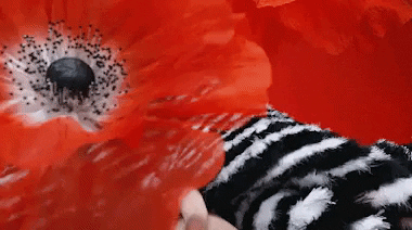 mathiho giphyupload GIF