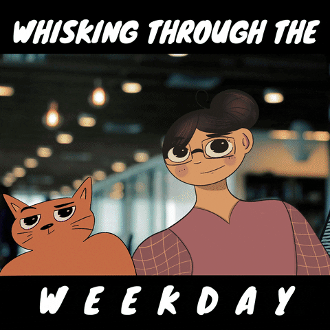 Cat Fun GIF by The Animation Project