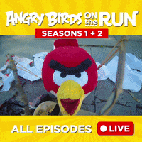 GIF by Angry Birds
