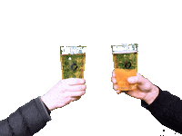 BORN_IN_THE_WETTERAU prost hessen schnaps apfelwein Sticker