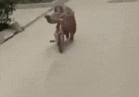 Biker Uzbek GIF