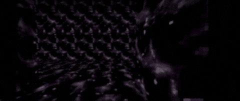 project1010 giphygifmaker GIF