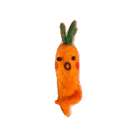 Carrot Vegetable Sticker by SEEDORGHK