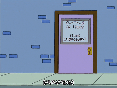episode 17 GIF