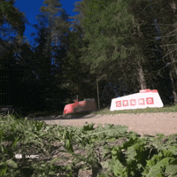 Driving Fast GIF by FIA World Rally Championship