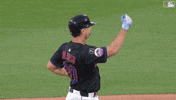 Pete Alonso Celebration GIF by New York Mets