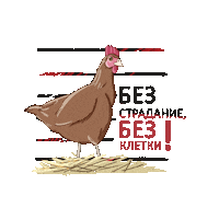 Chicken Sticker by Невидими Животни
