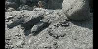 Climate Change Education GIF by DIIMSA Stock