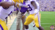 College Sports Sport GIF by LSU Tigers
