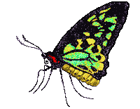 PositPixel pixel art butterfly sprite sprites Sticker
