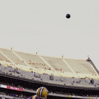 Lsu Football Win GIF by LSU Tigers
