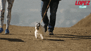 tv land GIF by Lopez on TV Land
