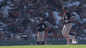 major league baseball sport GIF by MLB
