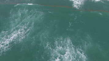 The Ocean Water GIF by Yevbel