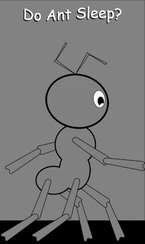 fopeez giphygifmaker ant GIF