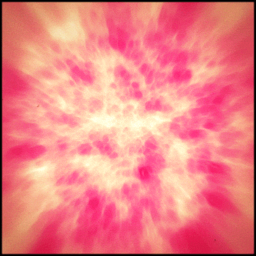 sun burning GIF by Erica Anderson