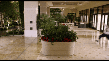 paul cop GIF




inFlux English School: 10 erros muito comuns que você pode cometer falando inglês em uma viagem