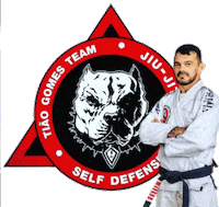 equipetiaogomes bjj jiujitsu tiao tiaogomes Sticker