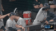 Excited Tampa Bay Rays GIF by Jomboy Media