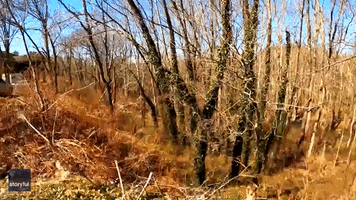 'Sounds of Spring' Caught on Camera in Rural Kentucky