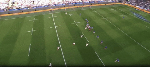 lorenzocalamai giphyupload GIF