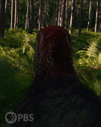 Walking With Dinosaurs Running GIF by PBS