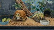 Leo The Lizard GIF by NETFLIX