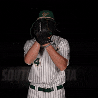 South Florida Baseball GIF by USF Athletics