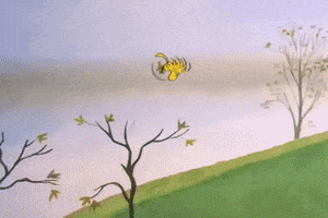 charlie brown thanksgiving GIF by Peanuts