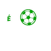 Copa Do Mundo Futebol Sticker by Farmácias Pague Menos