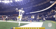 Celebrate 2018 Nfl GIF by NFL