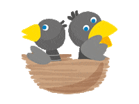 HABADeutschland fun games bird birds Sticker