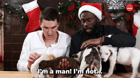 Drunk Dog GIF by BuzzFeed