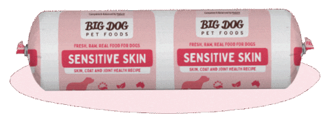 Cat Skin Sticker by Big Dog Pet Foods