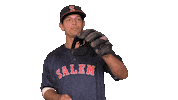 salemredsox baseball virginia salem redsox Sticker